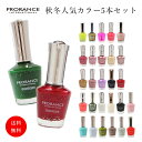 秋冬ネイルに人気！PRORANCE プロランス マニキュア5本セット【選べる秋冬カラー】